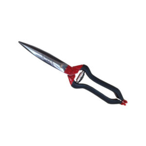 ΚΟΥΡΟΨΑΛΙΔΟ ΜΕ ΡΟΔΕΛΑ