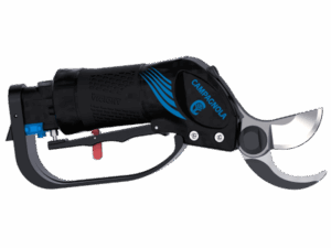 Ψαλίδι Αέρος Δενδροκομικό CAPAGNOLA VICTORY